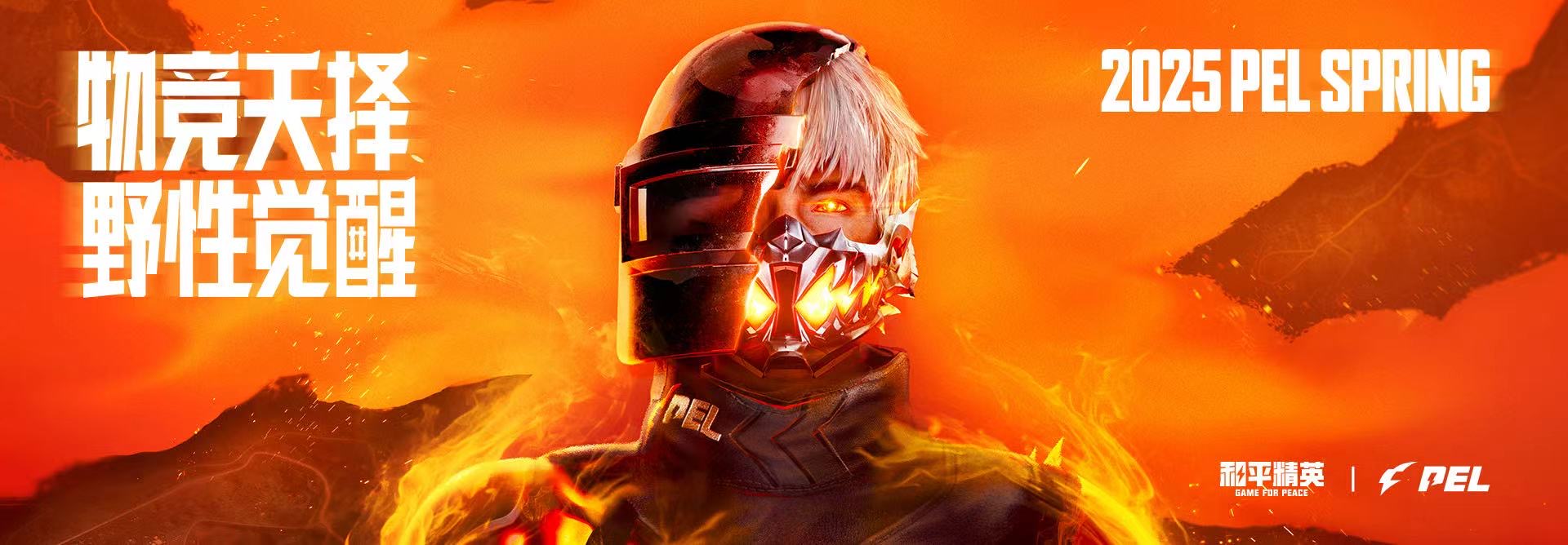 和平精英辅助软件详细评测：哪款值得信赖？